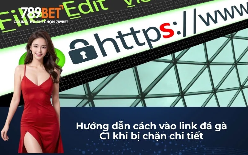 Hướng dẫn cách vào link đá gà C1 khi bị chặn chi tiết
